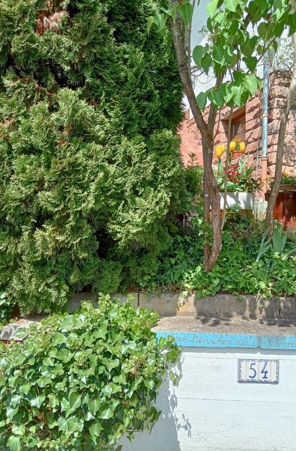 Casa La Collina Delle Ginestre Apartment เอเบอร์บาค ภายนอก รูปภาพ