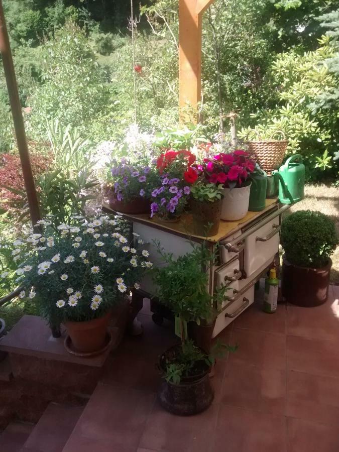Casa La Collina Delle Ginestre Apartment เอเบอร์บาค ภายนอก รูปภาพ