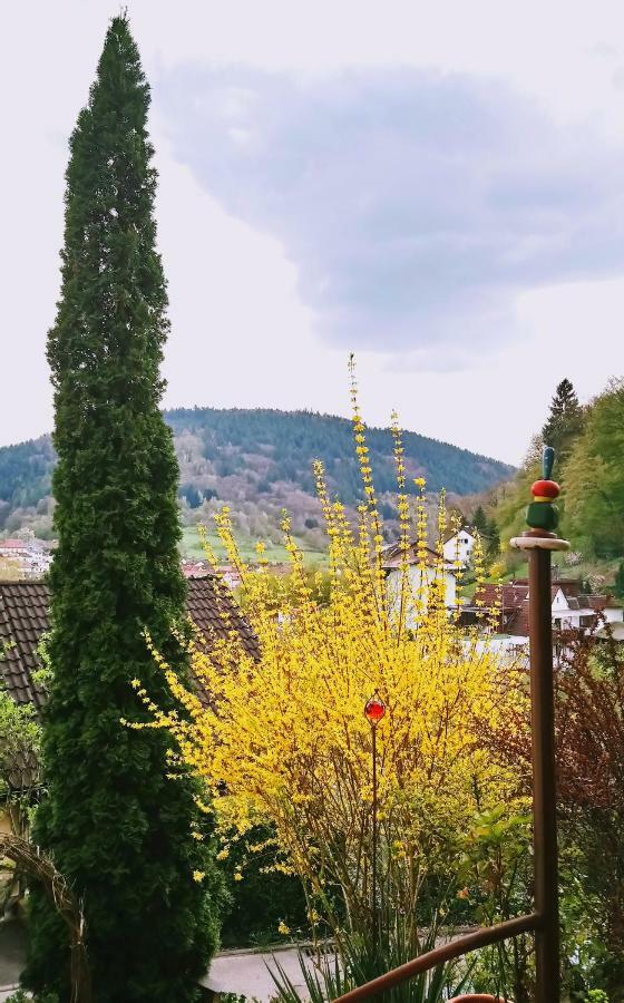 Casa La Collina Delle Ginestre Apartment เอเบอร์บาค ภายนอก รูปภาพ